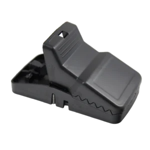 Tram. Raton Automatica