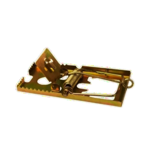 Trampa Para Raton Chica